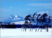 恵庭岳の風景写真