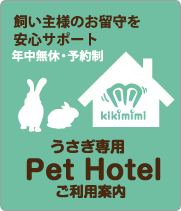 ウサギのホテル