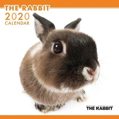 うさぎ用品 The Rabbit カレンダー2015 大阪の老舗うさぎ専門店 Kikimimi キキミミ ロップイヤー ネザーランドドワーフベビー 販売