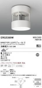 遠藤照明 ERG5389W LEDシーリングダウンライト9000TYPE LEDモジュール付 ナチュラルホワイト 非調光 67度