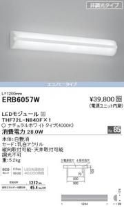 遠藤照明 ERB6057W LEDブラケット LEDモジュール付 ナチュラルホワイトL:1200mm 非調光