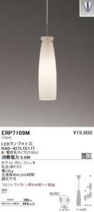遠藤照明 ERP7109M ペンダント LEDランプ×1付 RAD-427L(E17) 電球色 非調光
