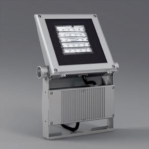 遠藤照明 ERS3413S アウトドア 看板灯 Ss-24 LEDモジュール付 ナチュラルホワイト 非調光 シルバー