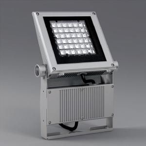 遠藤照明 ERS3415S アウトドア 看板灯 Ss-36 LEDモジュール付 ナチュラルホワイト 非調光 シルバー