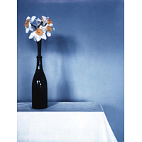 Robert Mapplethorpe Complete Flowers