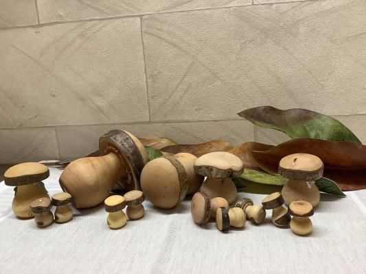 木のおもちゃ Atelier Cocoro ヨーロッパから木のおもちゃオーガニック綿 吹田市ココロ 木のおもちゃ Atelier Cocoro ヨーロッパから木のおもちゃオーガニック綿 吹田市ココロ