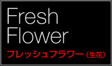 Fresh Flower/フレッシュフラワー（生花）