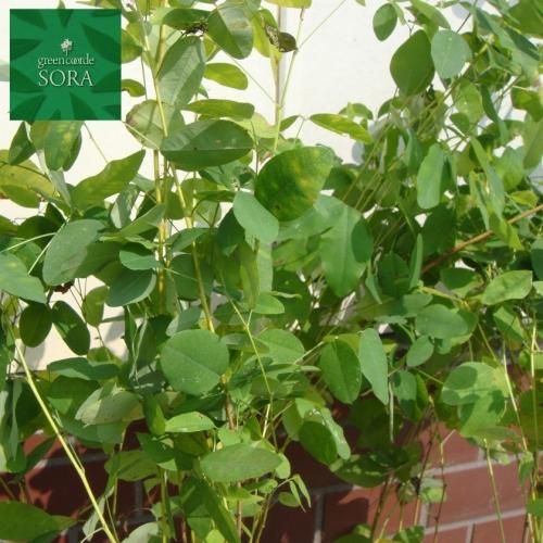 148673395.jpg?cmsp_timestamp=