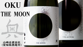 THE MOON