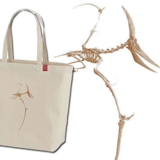 ε ץƥΥɥ ȡȥХå