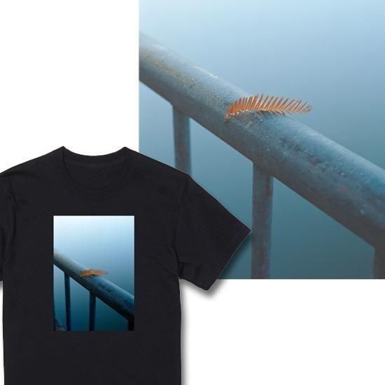 Still,life T 佪λޤ