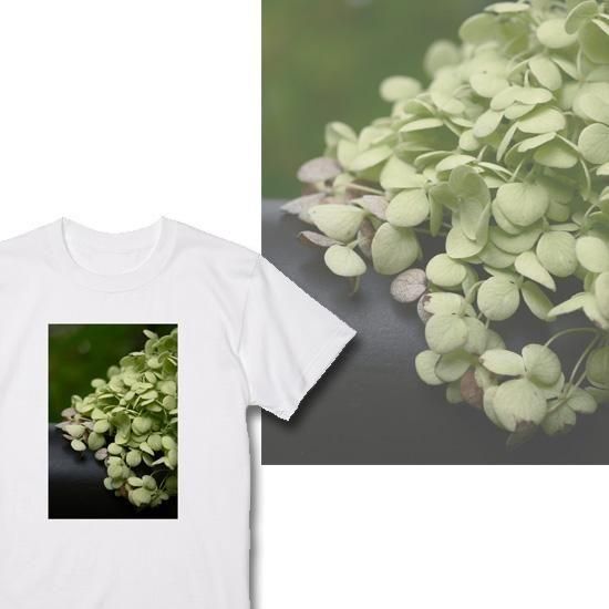 natural Green T 佪λ