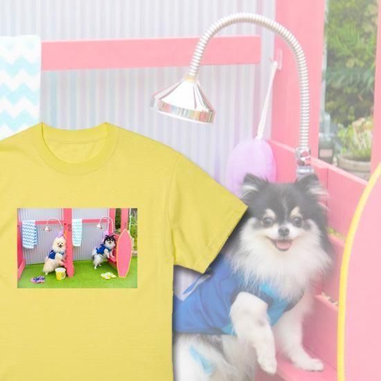 ޤƤޥ꥾ T ָ1291222