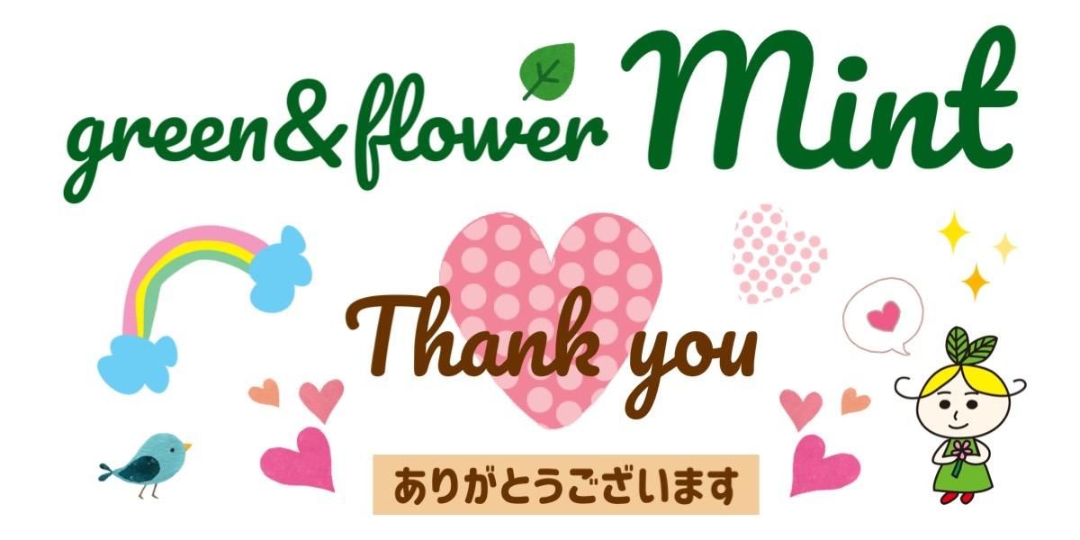名古屋の花屋　グリーン＆フラワー　ミント　名古屋市、北名古屋市、清須市、豊山町、春日井市、尾張旭市、長久手市へお花をお届けします。