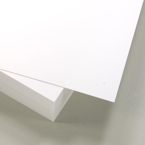 ゆば(=^・・^=) 1_000000038394.jpg?1678209902