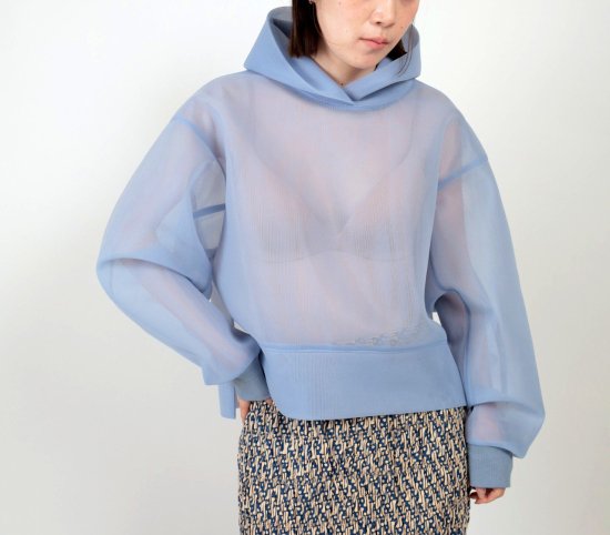 <img class='new_mark_img1' src='https://img.shop-pro.jp/img/new/icons11.gif' style='border:none;display:inline;margin:0px;padding:0px;width:auto;' />2024 CLOCHE Sheer Hoodie