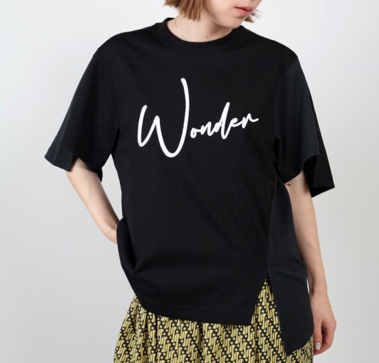<img class='new_mark_img1' src='https://img.shop-pro.jp/img/new/icons47.gif' style='border:none;display:inline;margin:0px;padding:0px;width:auto;' />2024  1 WONDER EMBROIDERY TEE