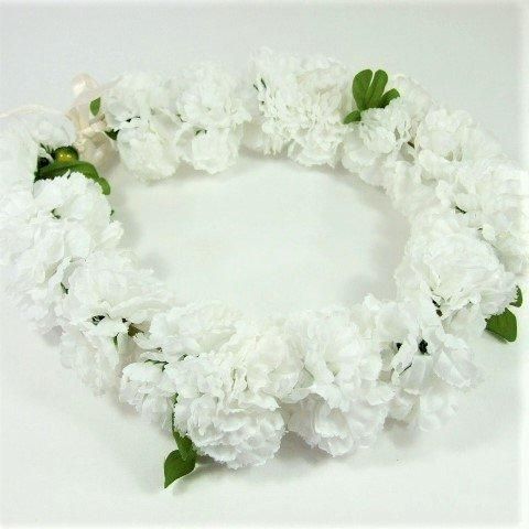 カーネーション - ALOHA STANDARDS