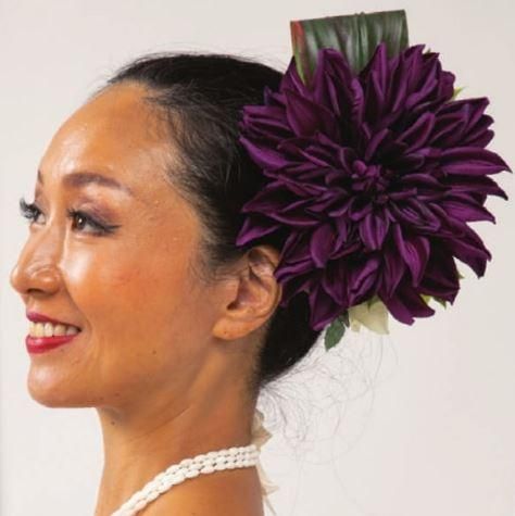 アロハスタンダード　衣装 ヘアクリップ　セット売り　フラダンス fc-hibcp-pk_m1_logo.jpg