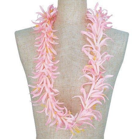 アロハスタンダード ALOHA STANDARD ハワイ ハワイアン フラ