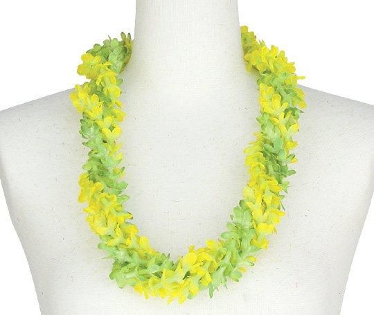 アロハスタンダード ALOHA STANDARD ハワイ ハワイアン フラ