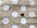 1.baobab pouch mini メイン：白ドット