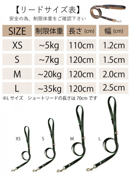 キャンディボーダー(Mサイズ：～20Kg)【19・20SS】 | WHCY(ウォーム