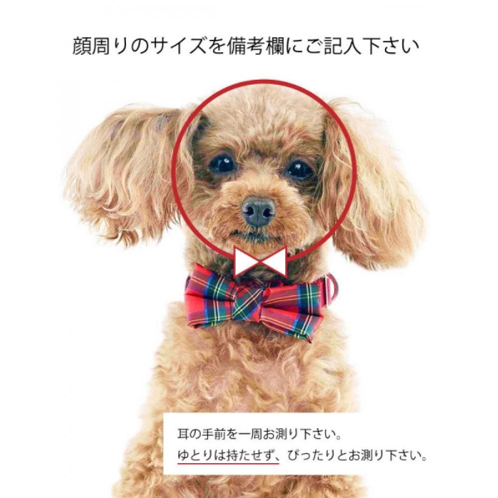 Amazon | PLATZ PET SUPPLISES&FUN(プラッツ)犬用首輪 散歩用品