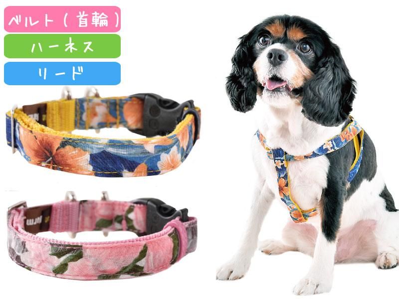 ハイビスカス(Mサイズ：～20Kg)【20SS】 | WHCY(ウォームハート