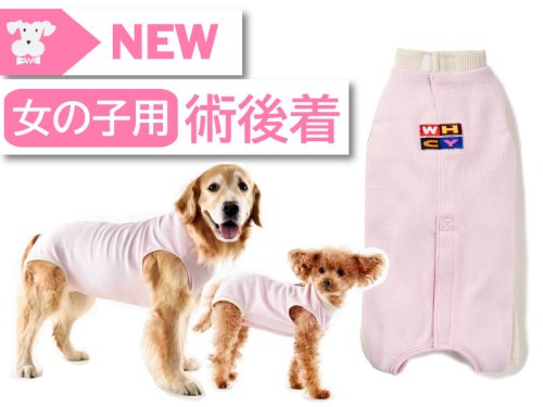 自由が丘 犬 服 安い