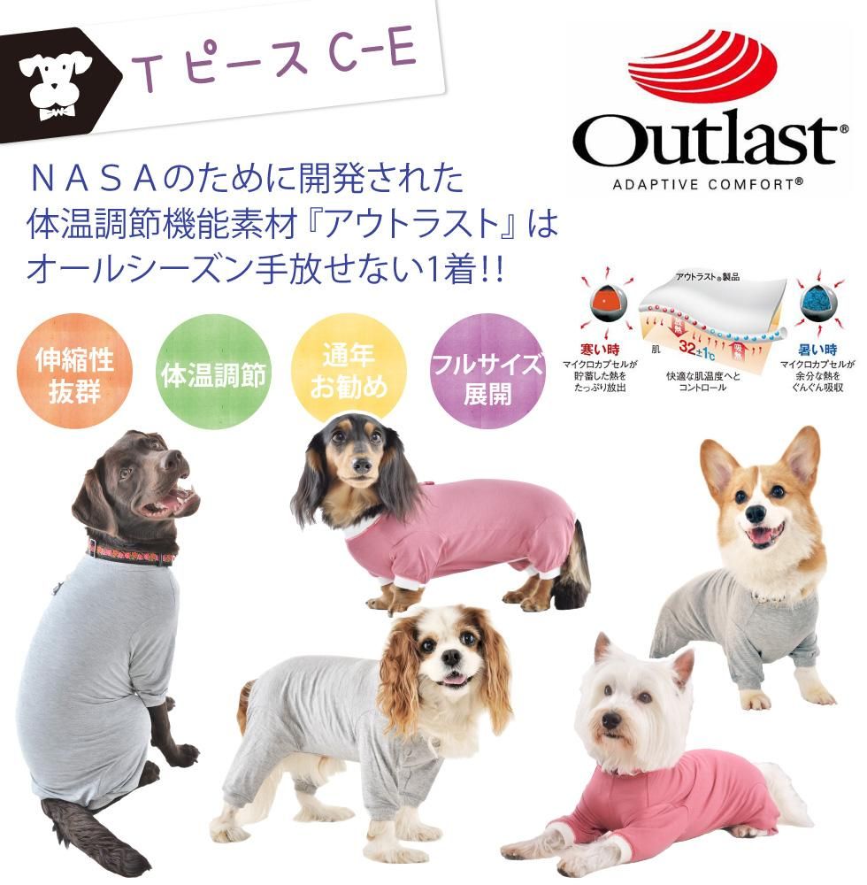 The Bear Essentials 結び方ガイド Bear Essentials Gear Instructions and Tutorials – The Bear