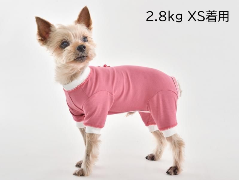 TピースCE ポピー【普通犬用】 ｜WHCY(ウォームハートカンパニー)公式