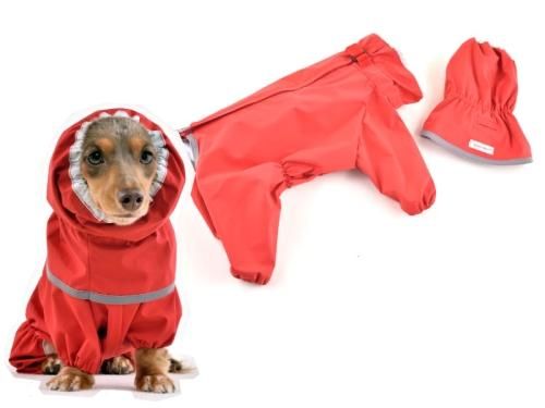 レインコート・レイングッズ - ドッグウェアブランド【WHCY自由が丘