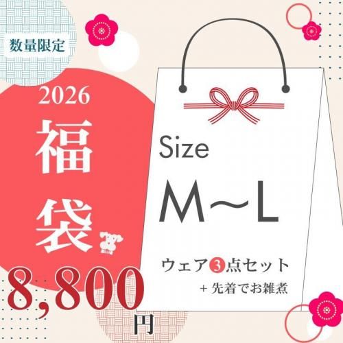 <img class='new_mark_img1' src='https://img.shop-pro.jp/img/new/icons29.gif' style='border:none;display:inline;margin:0px;padding:0px;width:auto;' />WHCYʡ2026(3SET)ML