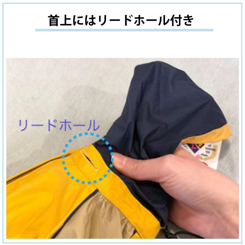 いち！にの！コーギー  【レア  サンプル品】JBサイズ いち！にの！コーギー 【レア サンプル品】JBサイズ