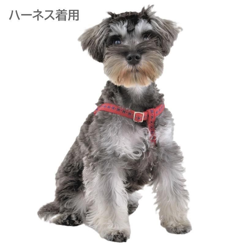 クロスステッチ(Sサイズ:~7Kg) | WHCY(ウォームハート クロスステッチ(Sサイズ:~7Kg) | WHCY(ウォームハート