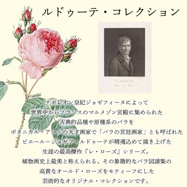 のれん タペストリー ルドゥーテ ローズ レース 日本製 豪華 薔薇 花柄 