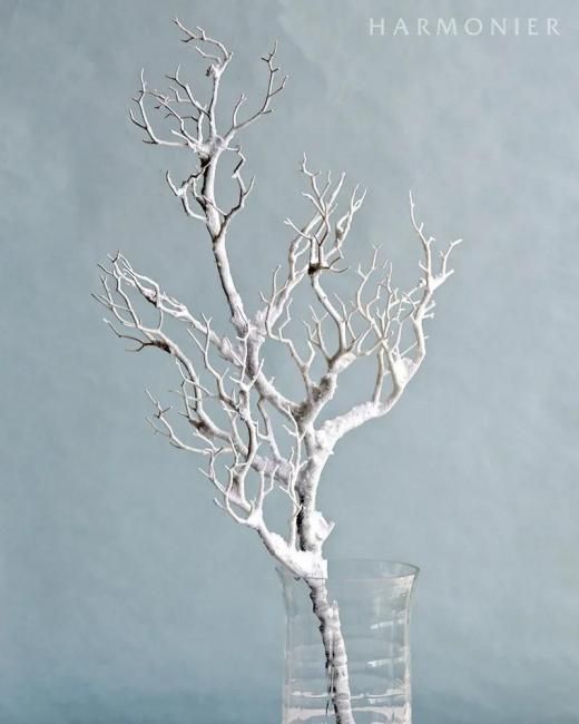 ۥ磻ȥȥåǥ    ԥå ƥꥢ ֥  ǥץ쥤 ̲ 쥬  ꥹޥ