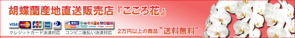 胡蝶蘭販売店 『こころ花』 洋蘭の鉄人が育てた胡蝶蘭ギフトは贈り物に大好評