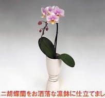 ߥǥĳ1Ω"ۥۥ磻" 滥 ڻϤդǤޤ<img class='new_mark_img2' src='https://img.shop-pro.jp/img/new/icons20.gif' style='border:none;display:inline;margin:0px;padding:0px;width:auto;' />