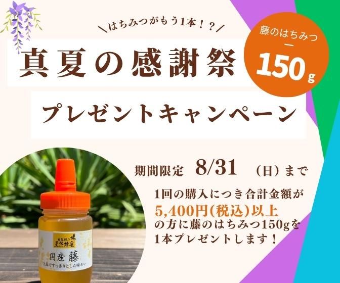 自家採り国産天然はちみつ（仲秋の百花蜜）460g入り - 渡辺養蜂