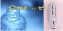 ץܡ롦顡ɱܥ˥륷ꥫإץ쥼Ȣ