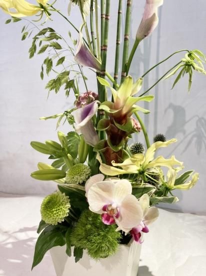 法事 年忌 お供え アレンジメント 5 000円 創業1915年 花屋 鹿児島市 Mstyle 法事 年忌 お供え アレンジメント 5 000円 創業1915年 花屋 鹿児島市 Mstyle