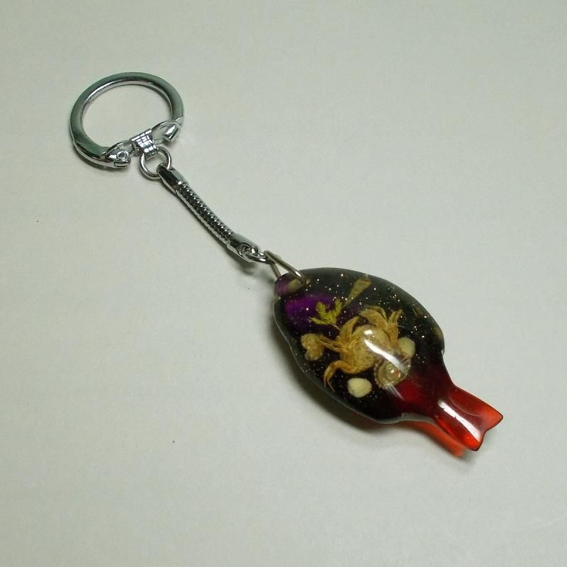 Amazon.co.jp: 標本コレクション キーホルダー カニ エビ ヒトデ