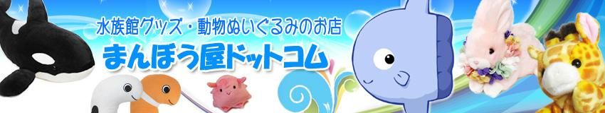 うさぎ ぬいぐるみ 動物園 たけのこ TAKENOKO プチ森のなかま ウサギ ホワイト 13cm 海の雑貨・水族館グッズ・動物ぬいぐるみ通販ショップ  まんぼう屋ドットコム