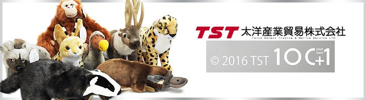 TST太洋産業貿易101シリーズ