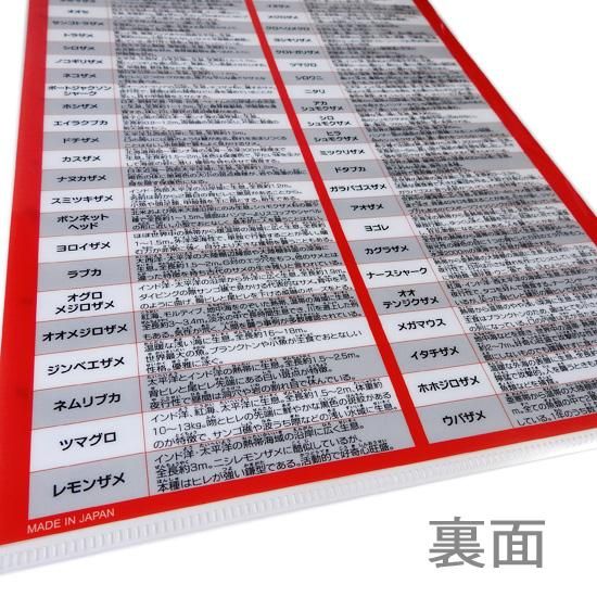 A4クリアファイル】サメグッズ◇おもしろ文房具◇鮫の図鑑◇鮫大全