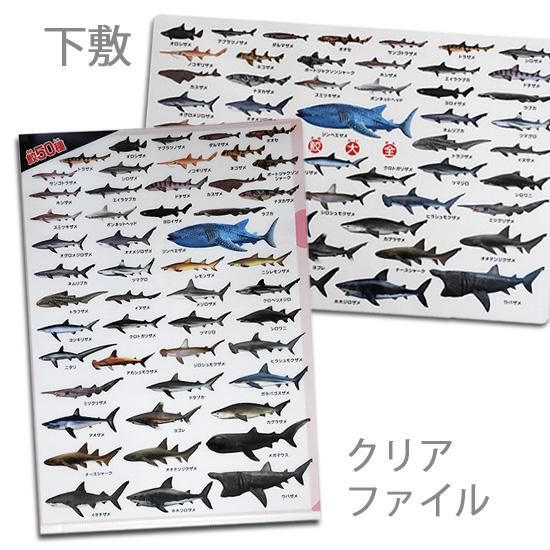 A4クリアファイル】サメグッズ◇おもしろ文房具◇鮫の図鑑◇鮫大全