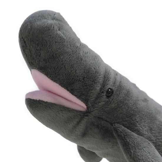 くじらのぬいぐるみ】水族館グッズ◇A-SHOW（栄商）◇海のおともだち