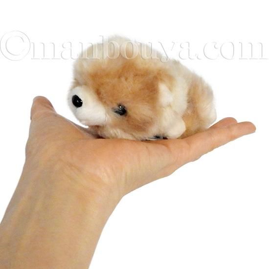 Amazon.co.jp: シミュレーション犬ぬいぐるみポメラニアン